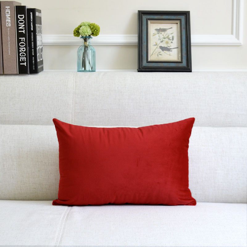 Sofa Pillows - velvet
