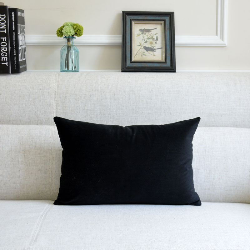 Sofa Pillows - velvet