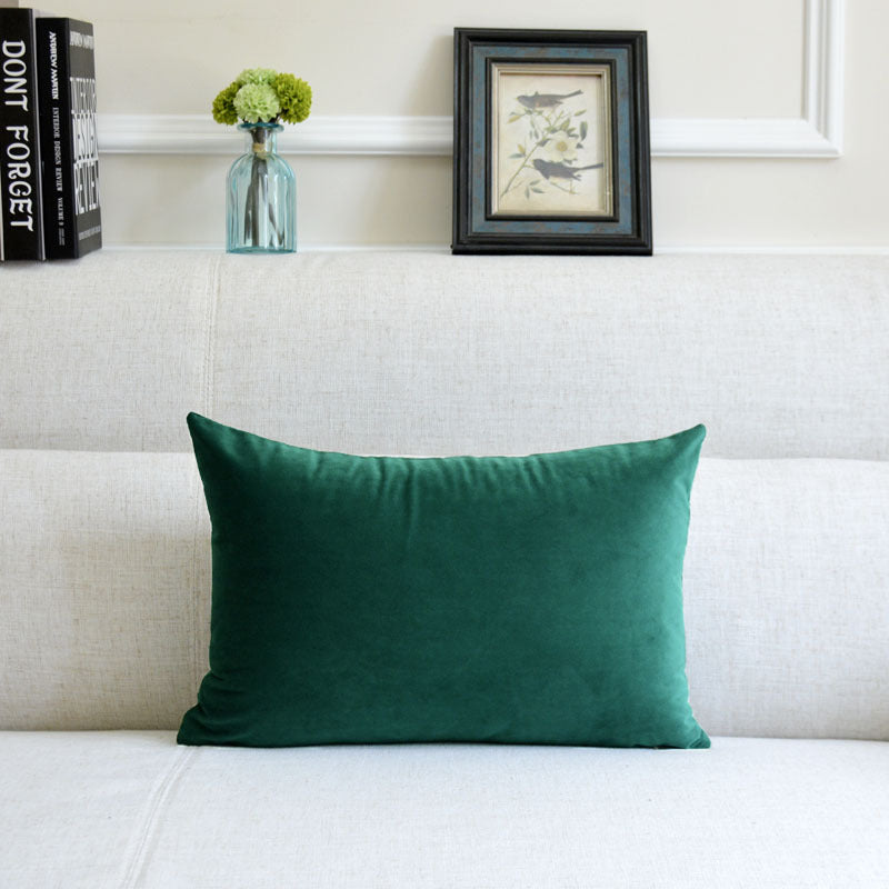 Sofa Pillows - velvet