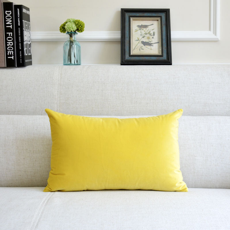Sofa Pillows - velvet