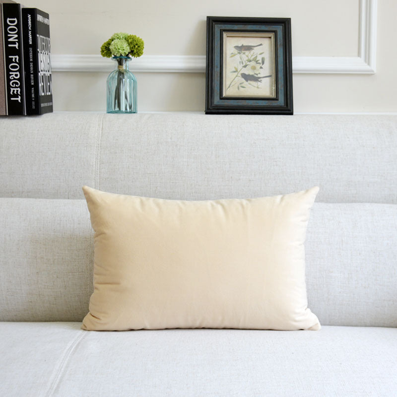 Sofa Pillows - velvet