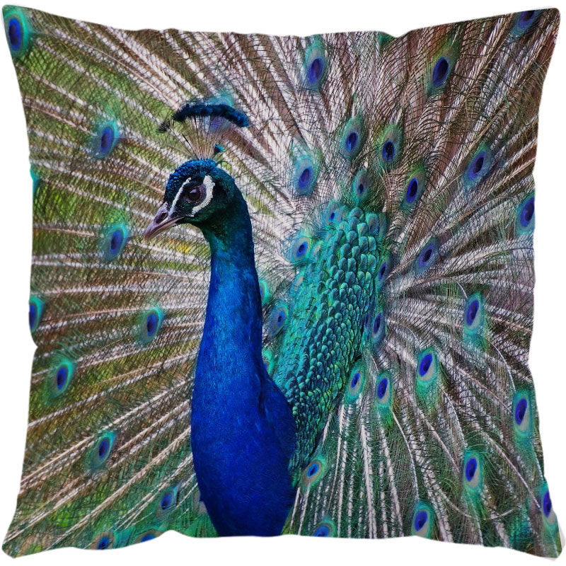Sofa Pillows - Sea Turtle Print Throw